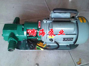 WCB手提式齿轮泵（便携式齿轮泵）